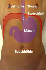 Reflux Op Und Zwerchfellbruch Op In Nurnberg Klinik Hallerwiese De