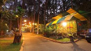 Namun, kawasan konservasi ini berbeda dari kawasan sejenis lainnya sehingga kerap dijadikan destinasi wisata oleh para pelancong. Liburan Unik Menginap Di Mobil Caravan Tengah Hutan