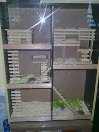 We did not find results for: Cara Membuat Kandang Hamster Dari Barang Bekas