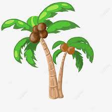 Kumpulan berbagai gambar tunas kelapa. Gambar Pokok Kelapa Kreatif Pokok Tumbuhan Kartun Pokok Kelapa Sawit Pokok Pokok Kelapa Pokok Clipart Png Pokok Kelapa Kreatif Pokok Tanaman Kartun Png Dan Psd Untuk Muat Turun Percuma