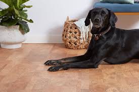 And they are highly practical too. Best Wood Flooring Options For Homes With Dogs