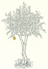 Line Art By Patricia Thornton At Coroflot Com Tree Sketches Tree Drawing Tree Tattoo