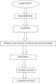 flow chart of mint processing download scientific diagram