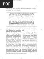 Image result for Megalochlamys hamata