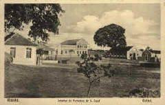 Histoire De La Guinee Bissau De L Empire Du Gabu Jusqu A Kumba Yalla Guinee Histoire Empire