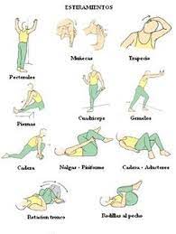 Por supuesto hay otros que puedes ir agregando o intercalando con el tiempo. Las Mejores 19 Ideas De Ejercicio De Estiramiento Antes Y Despues De Ir Al Gimnasio Ejercicios De Estiramiento Ejercicios Estiramientos
