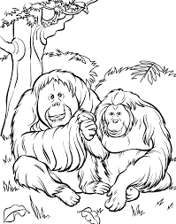 Zoo Coloring Pages Here Are The Best 19 Printable Coloring Pages Of Zoo For Preschoolers To Zoo Animal Coloring Pages Animal Coloring Pages Zoo Coloring Pages