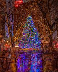 L Immagine Puo Contenere Albero Notte Cielo E Spazio All Aperto New York Christmas Christmas In The City Christmas Screen Savers