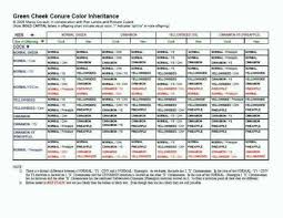 Breeder Color Chart For Green Cheek Conures Pineapple