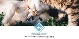 So how many calories does my cat need? Pet Cremation Auckland Caring Cremations Ltd