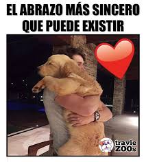 Amor Verdadero Amor De Cachorros Amor De Perro Perros Frases