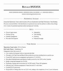 Operations Team Leader Resume Example Leader Resumes Livecareer