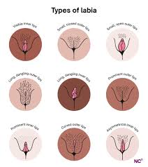 What is the best pussy shape
