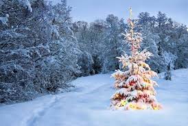 Pin By Sharon Hampton On Christmas Cabin Christmas Tree With Snow Beautiful Christmas Trees Beautiful Christmas