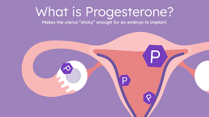 Image result for Progesterone