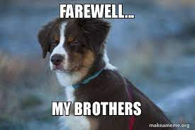 When there's no doggo around, these dog memes will definitely bring a smile to your face. Farewell My Brothers Unsure Dog Make A Meme