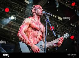 Image result for Strychnos lucens