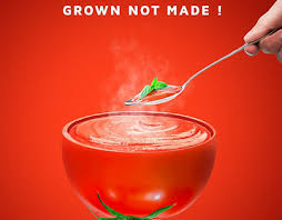 Then molly the cactus said i can give water to little rose. Heinz Ketchup Projects Photos Videos Logos Illustrations And Branding On Behance