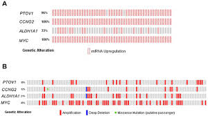 This tutorial is part of the building your startup with php series on tuts+. Prostate Tumor Overexpressed 1 Ptov1 Promotes Docetaxel Resistance And Survival Of Castration Resistant Prostate Cancer Cells Oncotarget