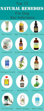 Natural Remedies For Dog Ear Infections 2020 15 Antibiotic Choices In 2020 Dogs Ears Infection Dog Ear Infection Remedy Ear Infection Remedy