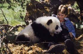 The panda's great adventure (1973) directed by yugo serikawa • film + cast • letterboxd. Warnerbros Com The Amazing Panda Adventure Movies