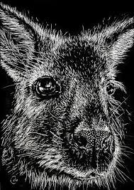 Pin On Art Lessons Scratchboards