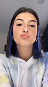 Charli D Amelio In 2020 Hair Color Streaks Hair Streaks Hair Color Underneath