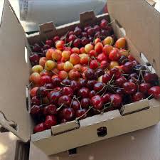 J & M Farms | Lodi CA