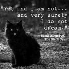When black cats prowl and pumpkins gleam, may luck be yours on halloween. Quote From The Black Cat Edgar Allan Poe Quote Poe Quotes Black Cat Quotes