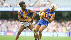 $20,000 on draftstars ($15 entry, 35 max) weather: Western Bulldogs Fans Can T Believe The Won The Afl Premiership In 2016 After First Half Capitulation At Hands Of West Coast Eagles Sporting News Australia
