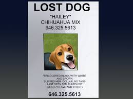 Jun 06, 2021 · flyers are the #1 way to reunite a lost dog. How To Make An Effective Missing Pet Poster With Pictures