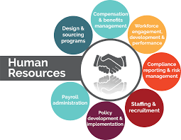 Human resource management system is a systematic procedure for collecting storing maintaining and validating data needed by an organization about it human resources. Hr Training Courses In Bangalore Online Hr Payroll Institutes Btm Marathahalli Jayanagar