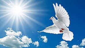 Gleichzeitig hat pfingsten für gläubige christen große bedeutung und gilt als wichtiges fest, das wie weihnachten und ostern mit zwei gesetzlichen feiertagen gewürdigt wird. Pfingsten Aus Christlicher Sicht