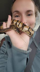 are you an exotic pet owner?