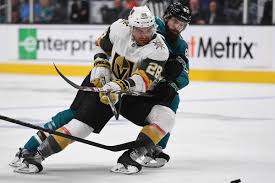 Image result for stanley cup 2019