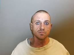 Affidavit: Houston Co. man put gun to girlfriend's head, threatened her