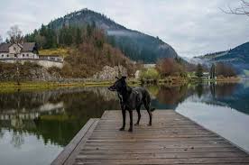 Located in lunz am see, 47 km from amstetten, haus seebach provides a garden and free wifi. Rauf Auf Den Maiszinken Beim Lunzer See Wiederunterwegs Com