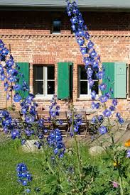 2003 Hat Der In Berlin Lebende Filmschaffende Urs Cordua Das Rund 180 Jahre Alte Backsteinhaus Erworben Und Liebevoll Unter Okolo Haus Backsteinhauser Landhaus