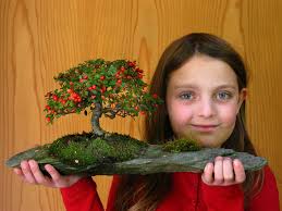 Josef Hofer aus Hall-Rum