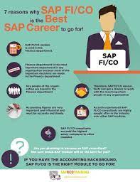 Sap Fi Co Training How To Start A Great Sap Career Training Tutorial Sap Career