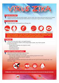 Berdasarkan kriteria diagnosis yang dikeluarkan organisasi kesehatan dunia (who) pada 1997, demam yang salah satunya disertai dengan penurunan nilai trombosit di bawah 100.000 per. Risalah Virus Zika Flip Ebook Pages 1 1 Anyflip Anyflip