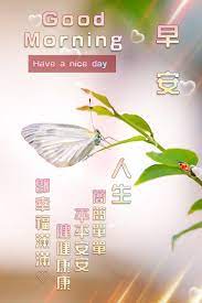 早安good morning morning quotes morning images morning greeting