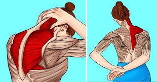 Pin On Exercises