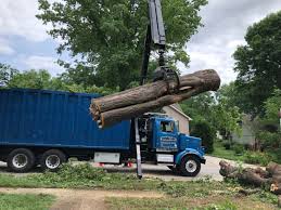 Prentice & Bush Tree Service