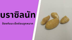 Roasted nuts and seeds ถั่วและธัญพืชอบ แพ็คถุง, สินค้าทั้งหมด tags: à¸›à¸£à¸°à¹‚à¸¢à¸Šà¸™ à¸‚à¸­à¸‡à¸šà¸£à¸²à¸‹ à¸¥à¸™ à¸— Brazil Nut à¸ à¸™à¸œ à¸à¹€à¸› à¸™à¸¢à¸² Youtube