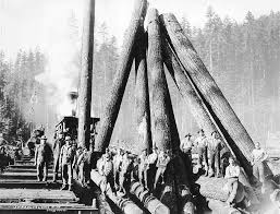 Gray lumber company is a family organization that consistently provides quality construction products at competitive prices with personal gray lumber company p.o. St Paul Tacoma Lumber Company And Its Affiliated Railroads 1888 1958 Historylink Org