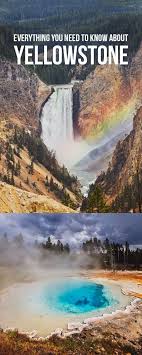 Best Things To Do In Yellowstone National Park Tips For Your Visit National Park Vacation Yellowstone National Park Vacation Yellowstone Trip