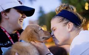 Lake Erie Moment: lacrosse coach's puppy brings smiles at Mercyhurst  University