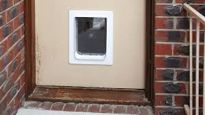 We did not find results for: How To Choose The Best Pet Door Bunnings Australia