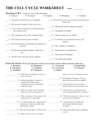 Worksheet 16 animal cell mitosis and cytokinesis. Cell Cycle Worksheet